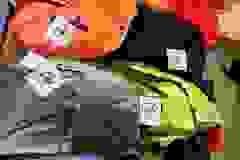 461241146_512866388149582_6715071871732672788_n