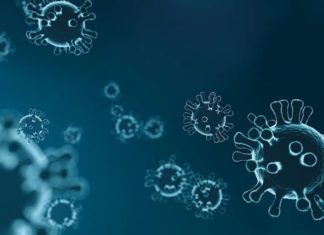 Симптоми и препораки за заштита од корона-вирусот