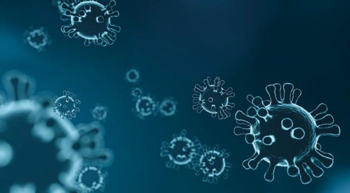 Симптоми и препораки за заштита од корона-вирусот