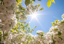 Одбележан Денот на пролетта и екологијата во ООУ ,,Гоце Делчев”