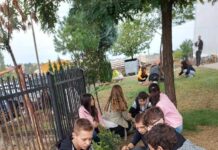 Еколошка акција- Садење на грмушести и дрвенести растенија во училишниот двор на подрачното училиште ПОУ Три Чешми