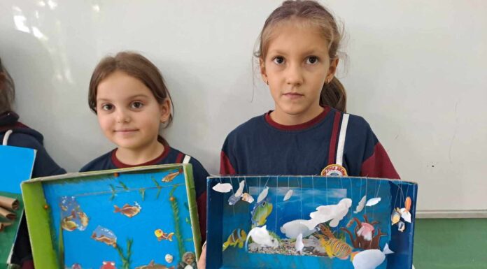 Изработки на учениците од 2/1 одделение. Разни видови на живеалишта.