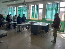 Јазик, култура и потекло на ромите