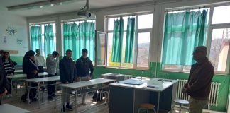 Јазик, култура и потекло на ромите