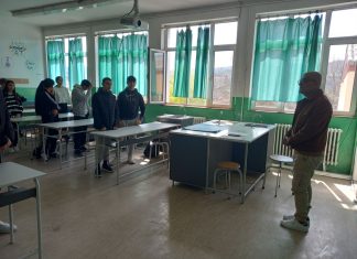 Јазик, култура и потекло на ромите