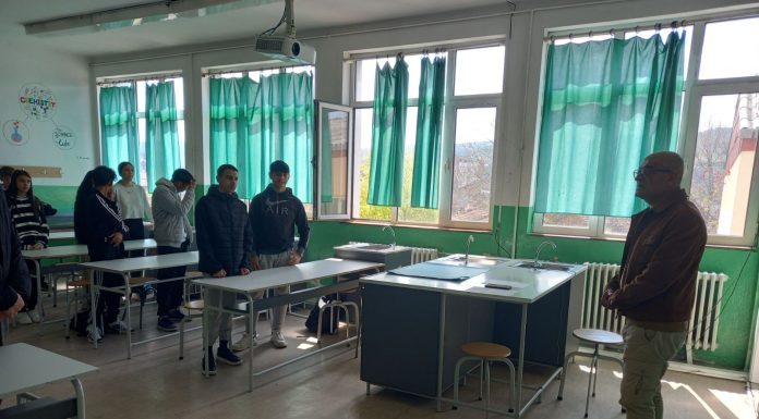 Јазик, култура и потекло на ромите