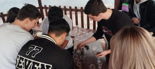 431933199 7086294671479968 7635769239355018361 n