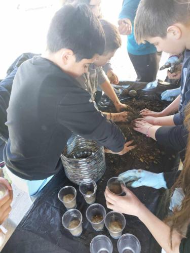 433434799 7086295124813256 5689348549274942418 n