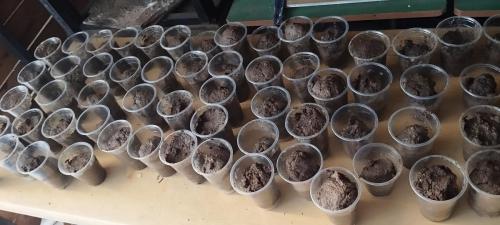 433475645 7086294241480011 738576724154730593 n